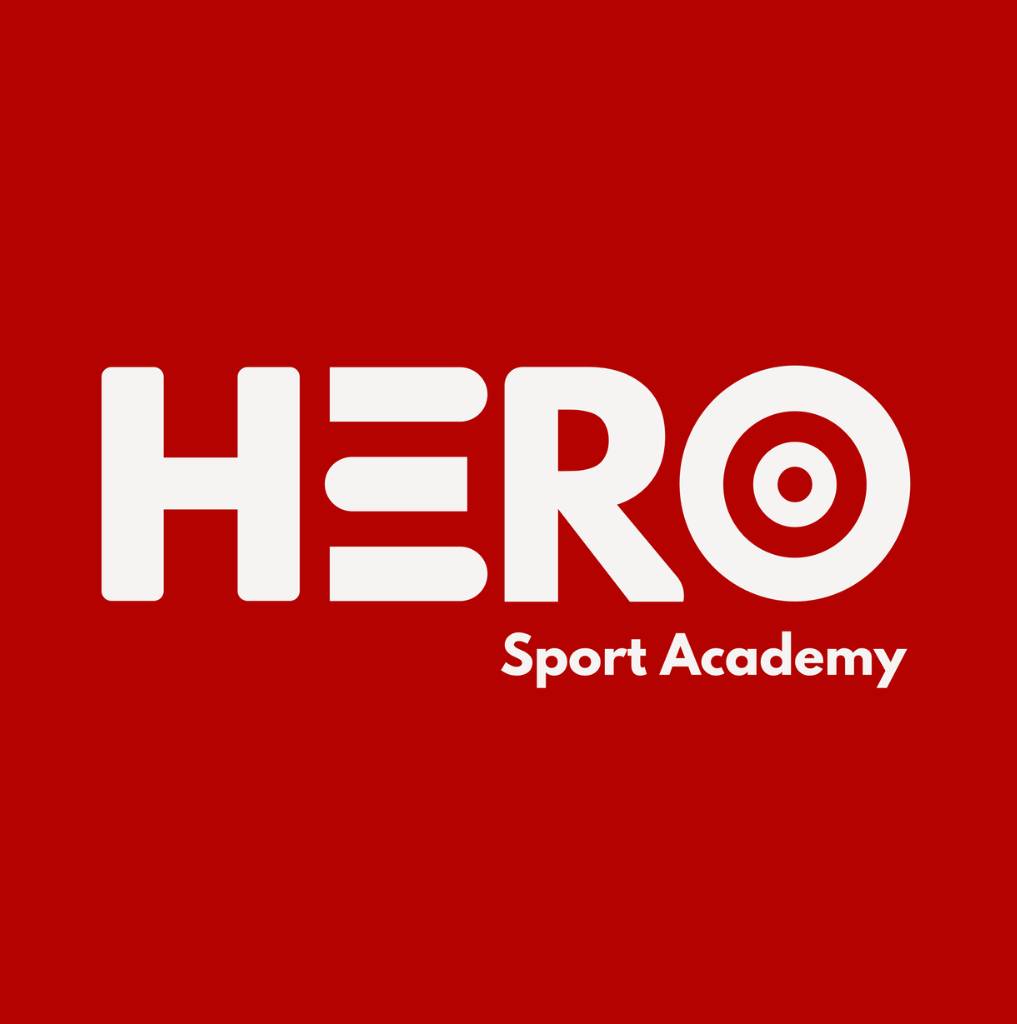 Hero Academy